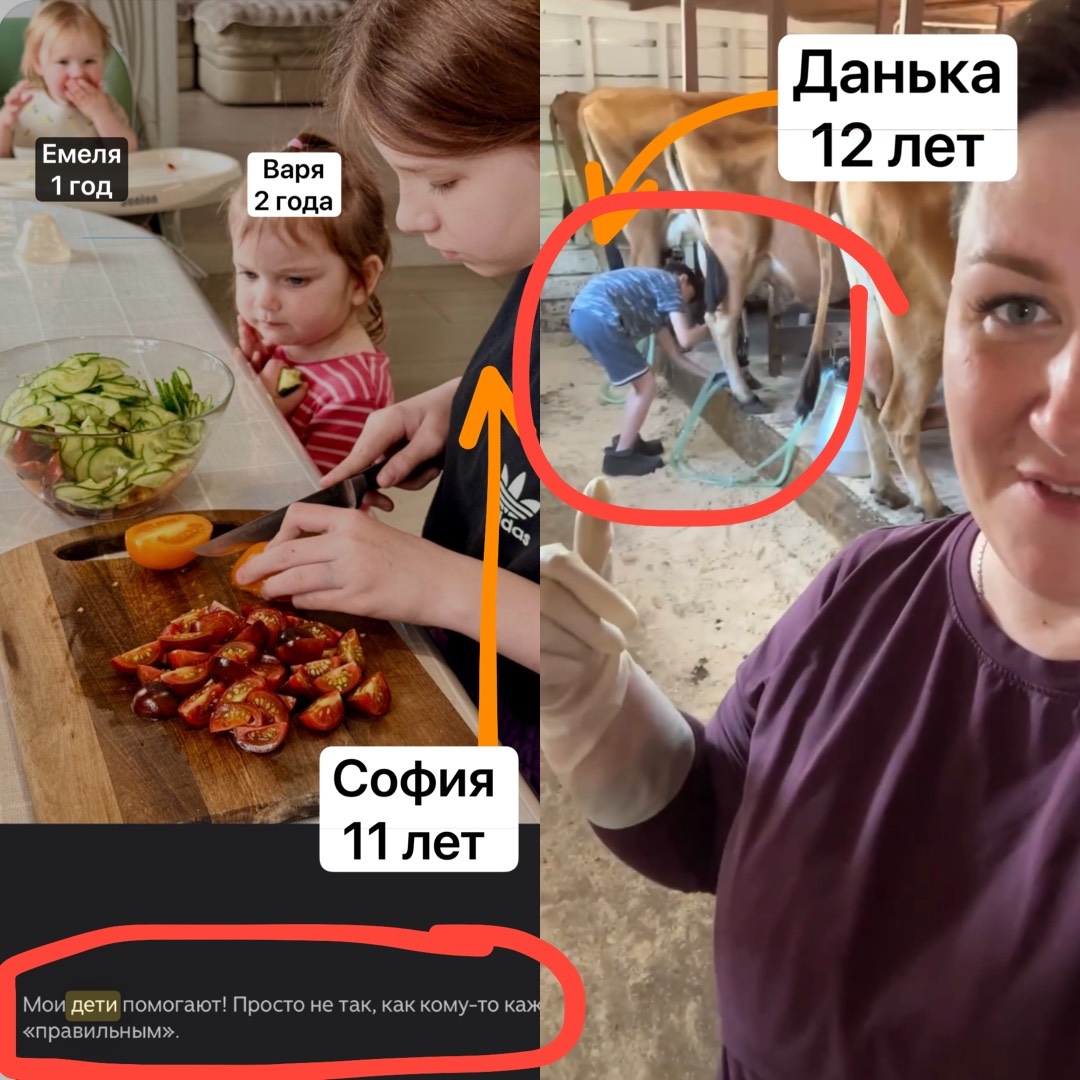 Сонька 11 лет кухарка, Данька 12 лет дояр 