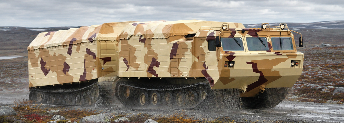 ДТ-30 «Витязь»