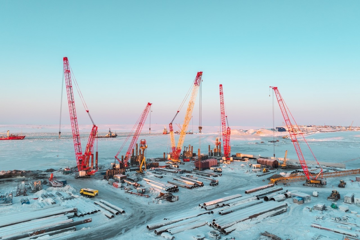 Источник: goarctic.ru