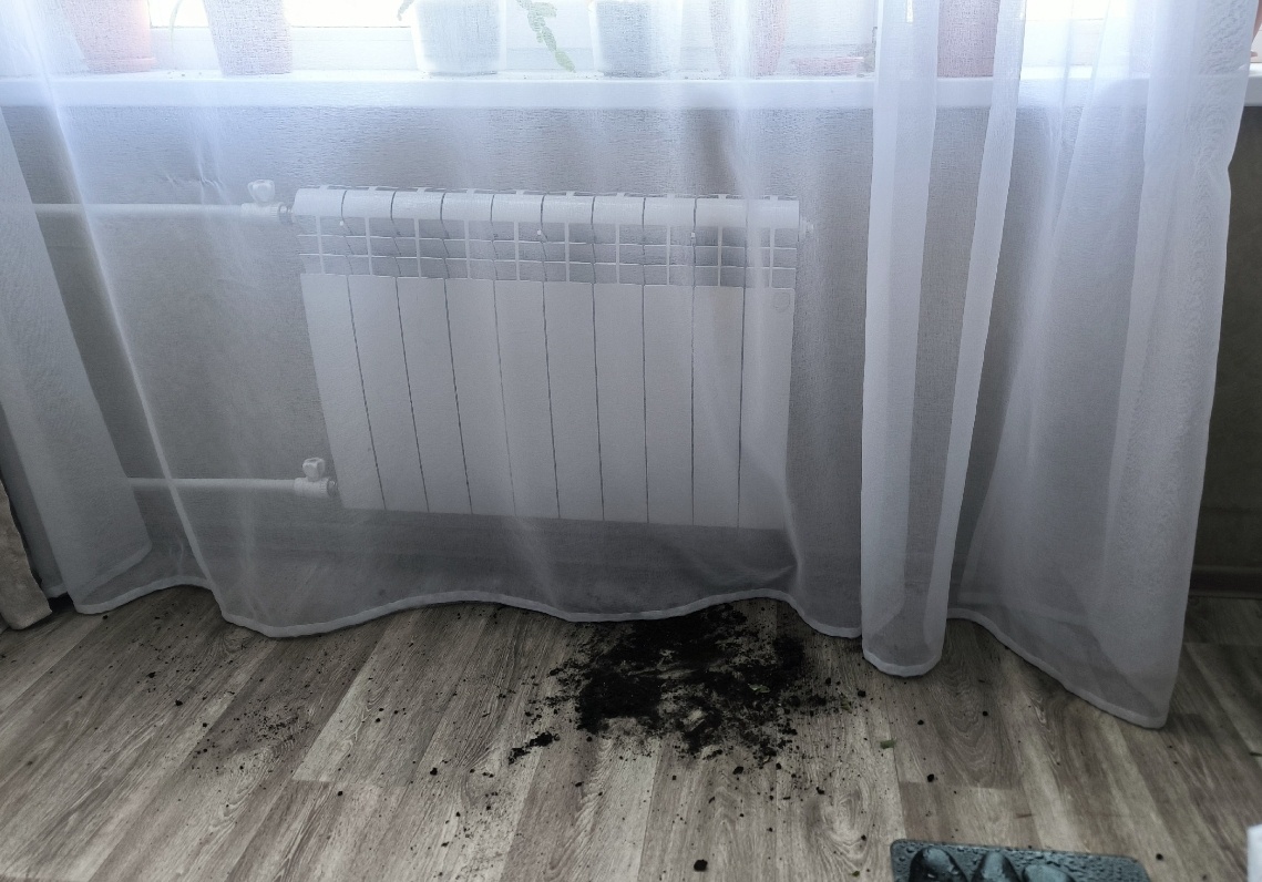 Все фотографии в статье авторские