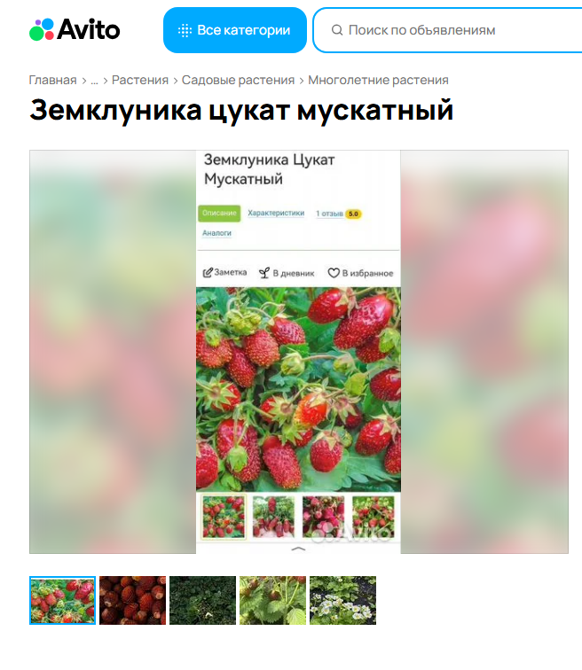 Та самая которую купила 