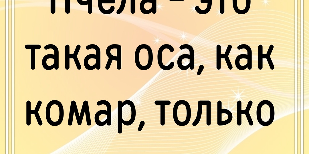 #764 Немного юмора
