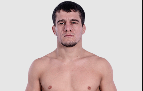    Фото сайта aca-mma.com