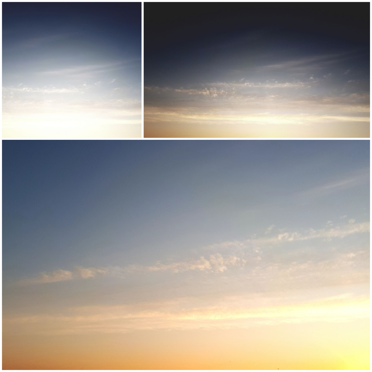 Коллаж автора 16.05.2026г.