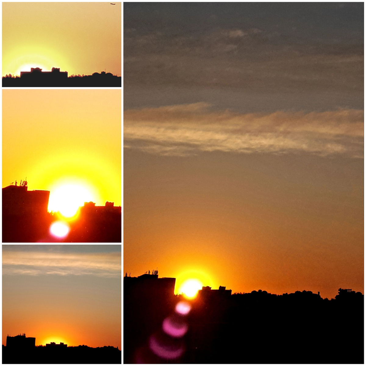 Коллаж автора 16.05.2026г.