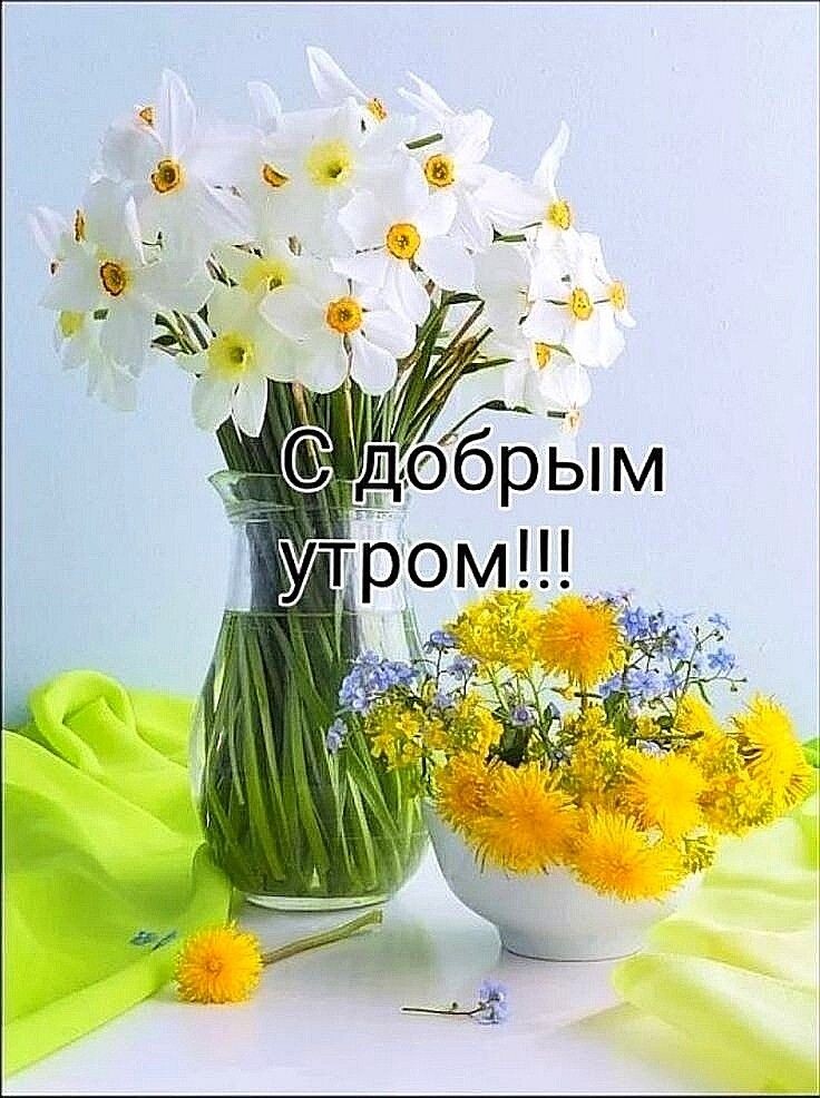 Фото из открытого источника в интернете.