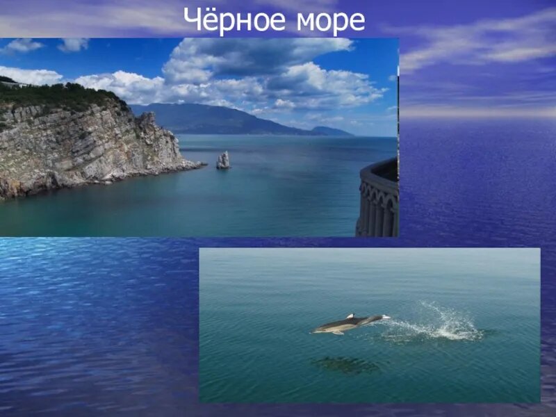 фото из яндекса