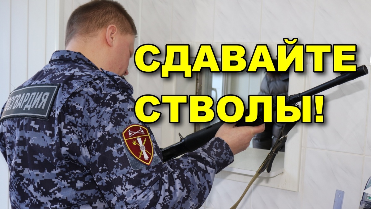 Инспектор всегда прав? Как обычный визит на продление может закончиться сдачей стволов