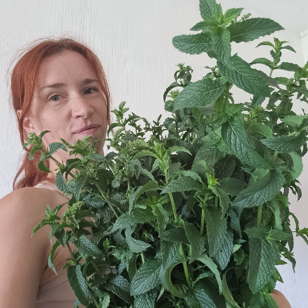Если что, это я. Как есть, даже без макияжа