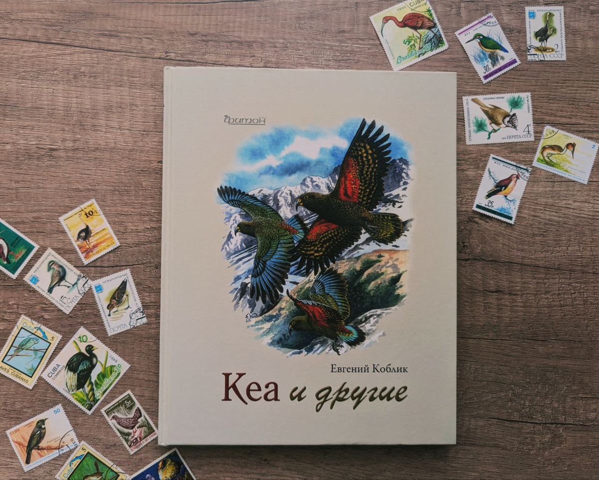 Изображение оригинальное.