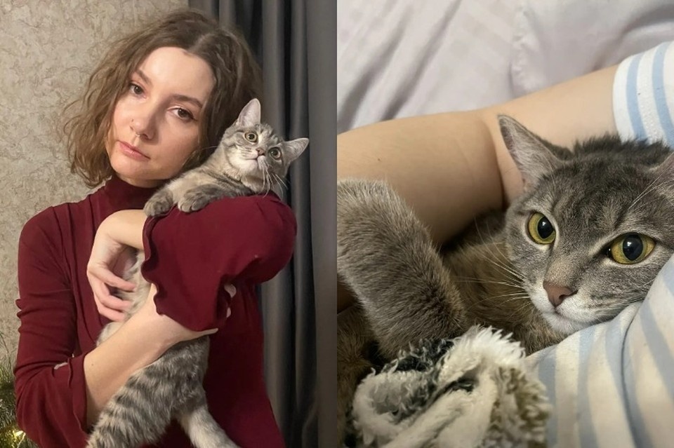    Кошка Груня любит обнимашки. Дарья СИДОРЕНКО