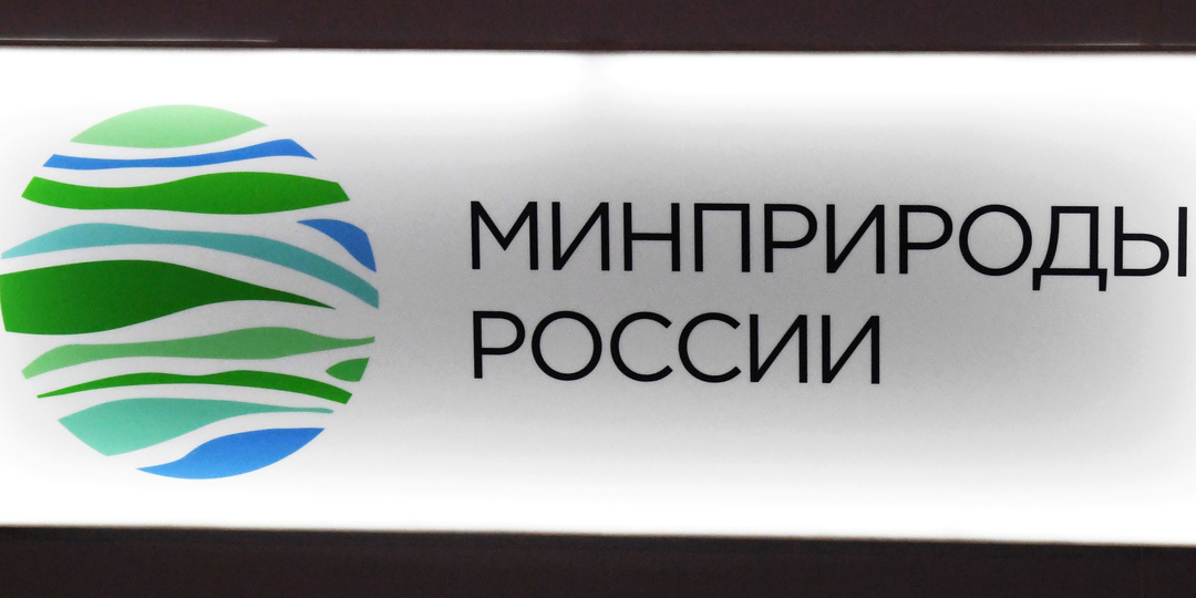 РБК: Хатуов и Гатагова могут стать новыми замглавы Минприроды России