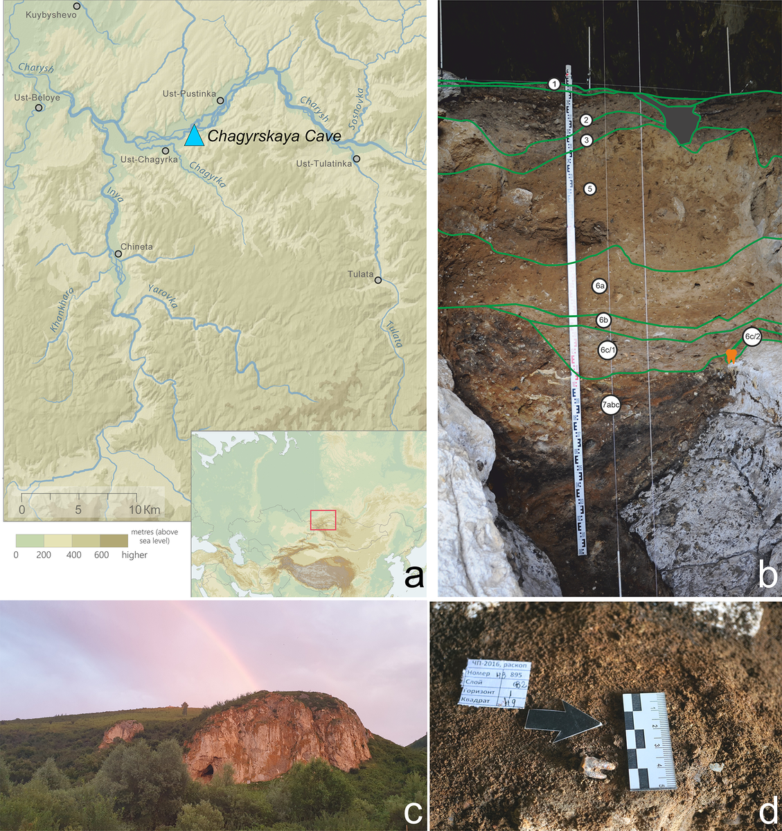 Изображение взято с сайта https://journals.plos.org/plosone/article/figure/image?size=large&id=10.1371/journal.pone.0347662.g001