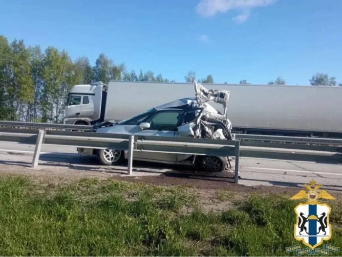    Фото: ГУ МВД по НСО.