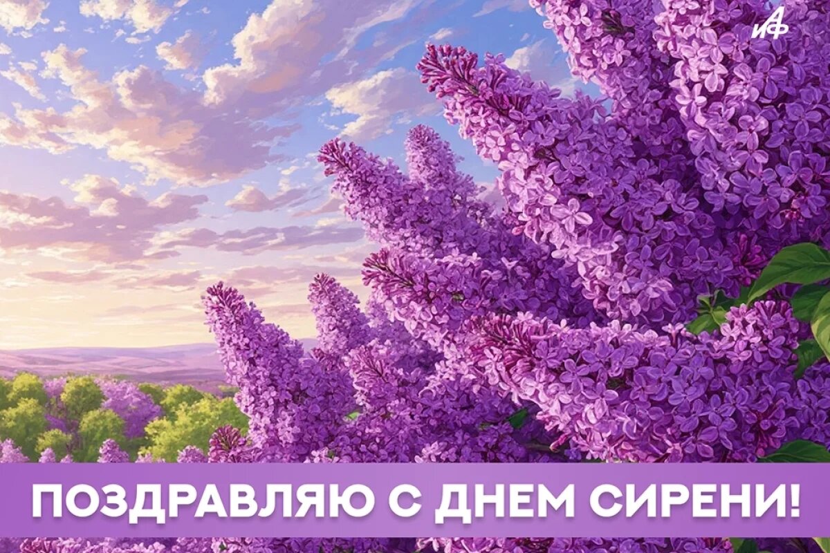    Новые открытки с Днем сирени.