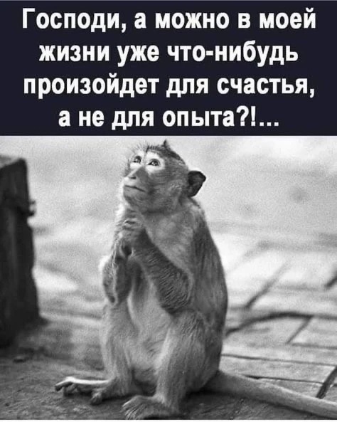 Позаимствовала эту картинку у Татьяны на канале в МАХ (акк. Иммунитет мой лучший враг)
