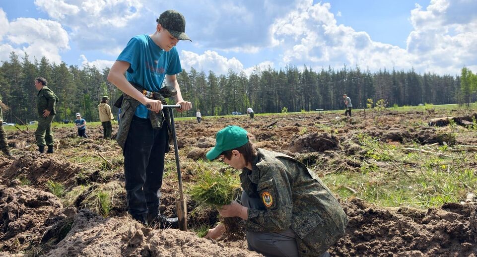    МедиаБанк Подмосковья/Юлия Выборова