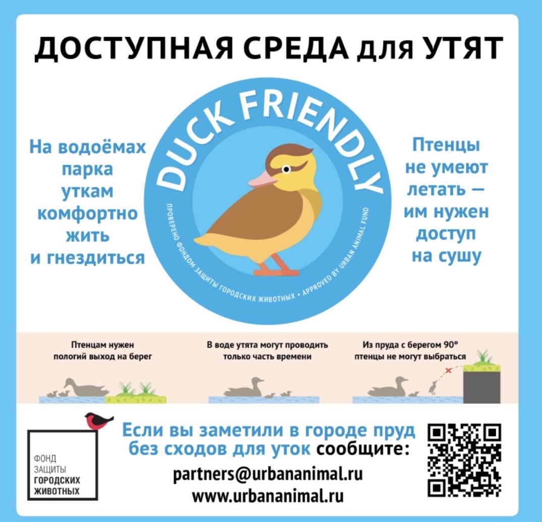 Скриншот с сайта https://urbananimal.ru 