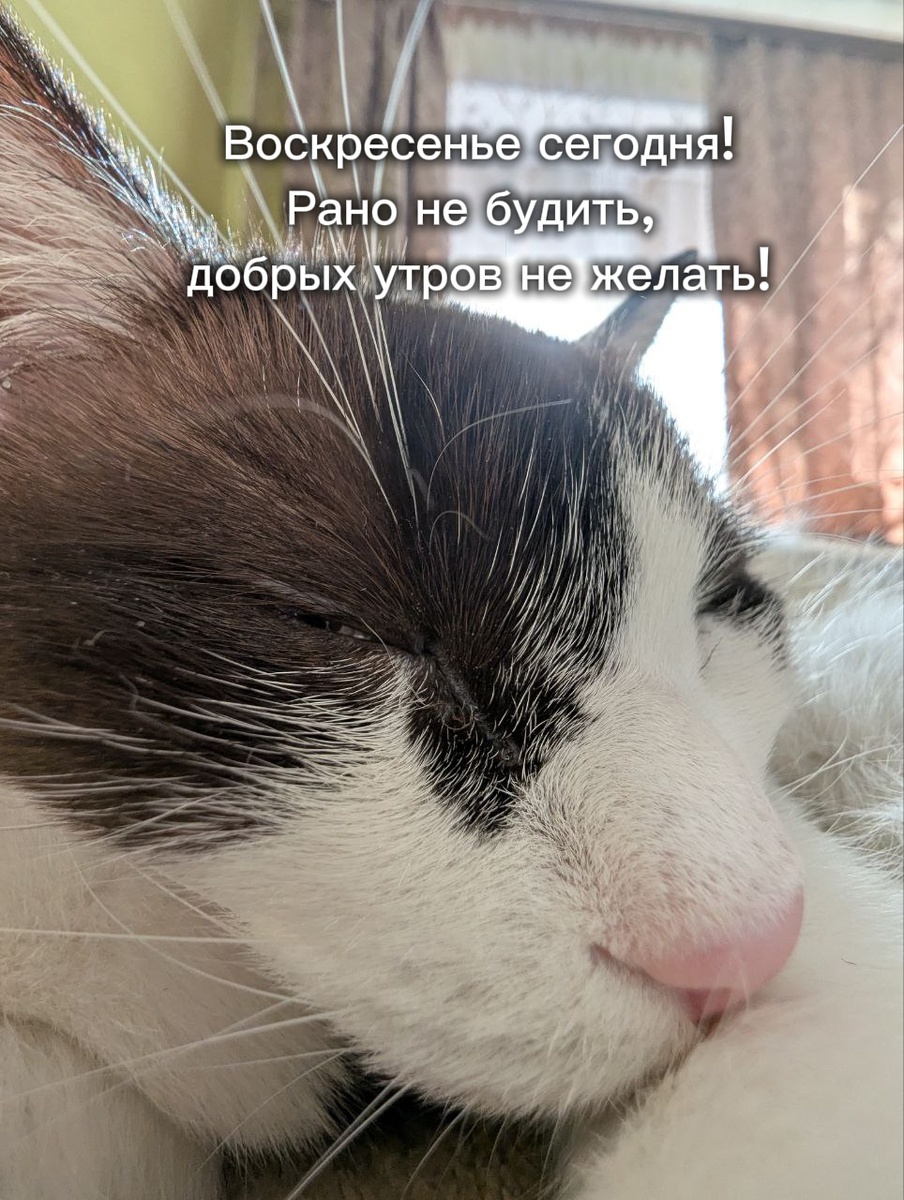 Как-то так 😹