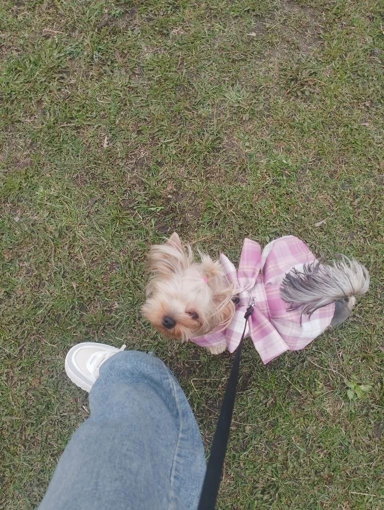 Идём гулять ❤️🐶