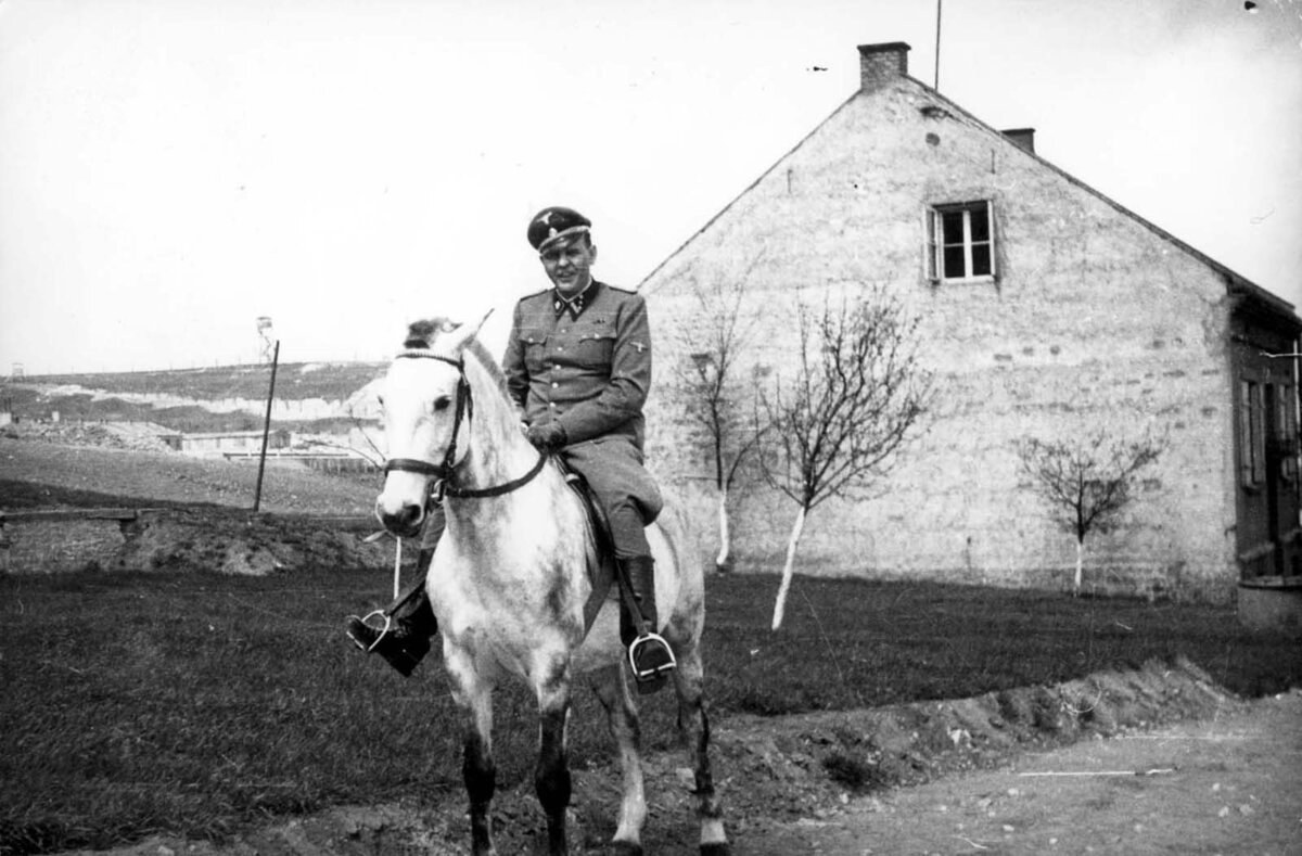 Амон Гет