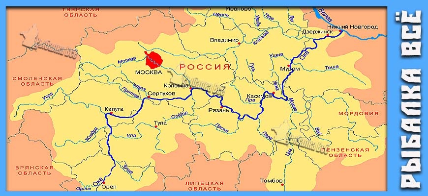 10 удивительных фактов о реке Ока. Название река получила еще до нашей эры, почему же Оку назвали Ока