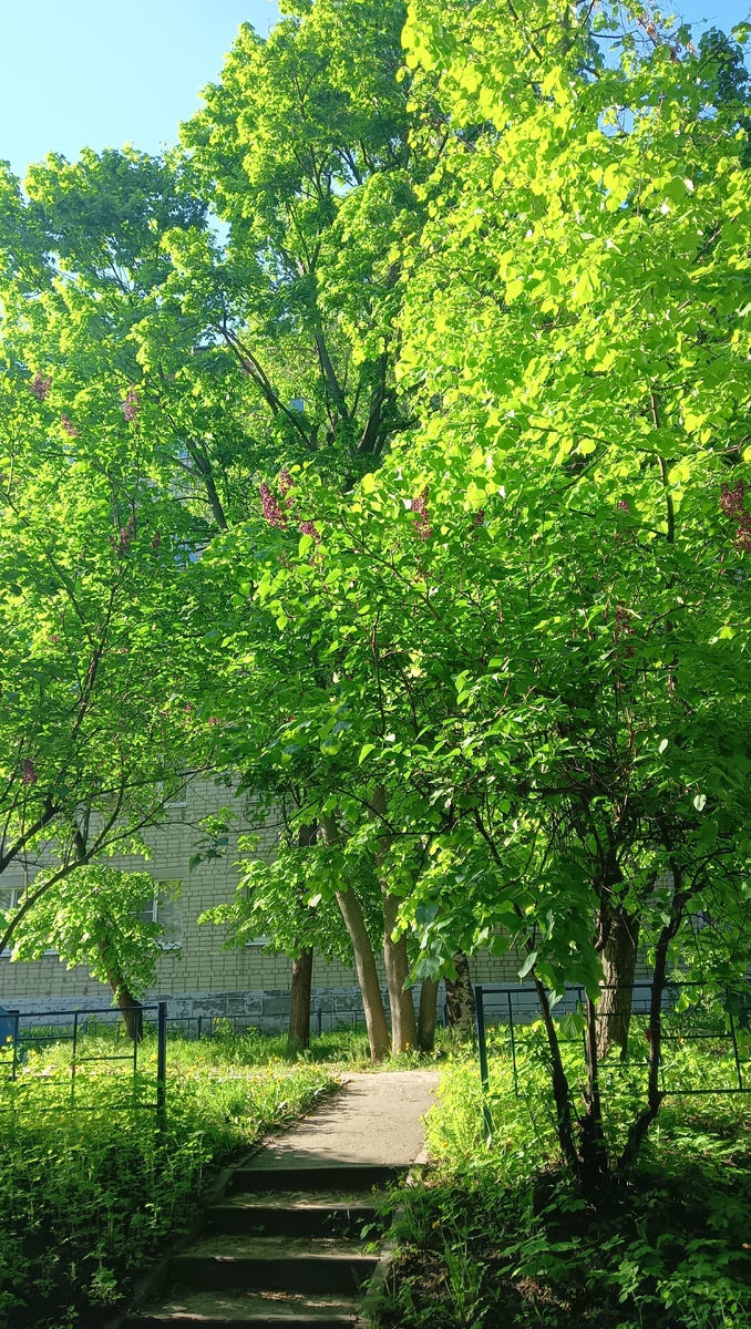 Фото автора 