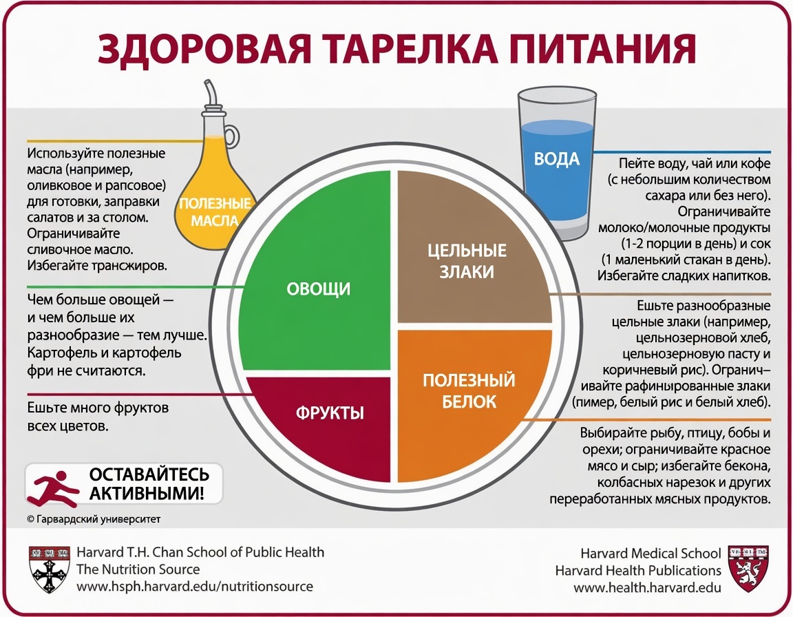 Официальная схема «Гарвардской тарелки»