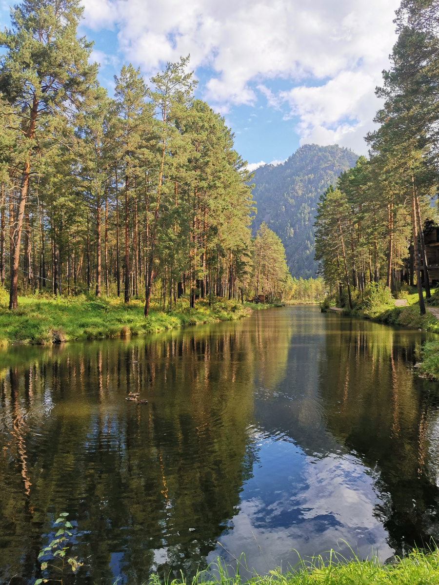 Фото автора. Горный Алтай. 