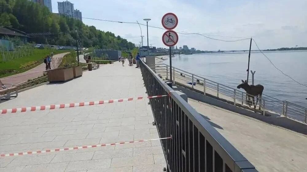   Фото ЧП ДТП Пермь