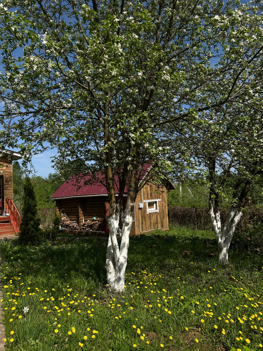 Фото автора