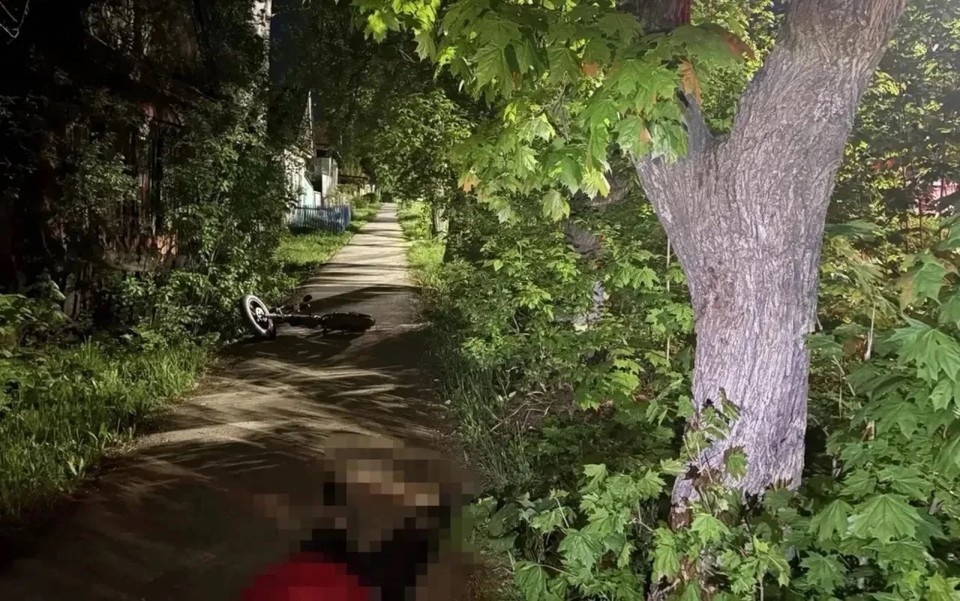    В Госавтоинспекции устанавливают все обстоятельства произошедшего. 1 отдел УГИБДД по Удмуртии