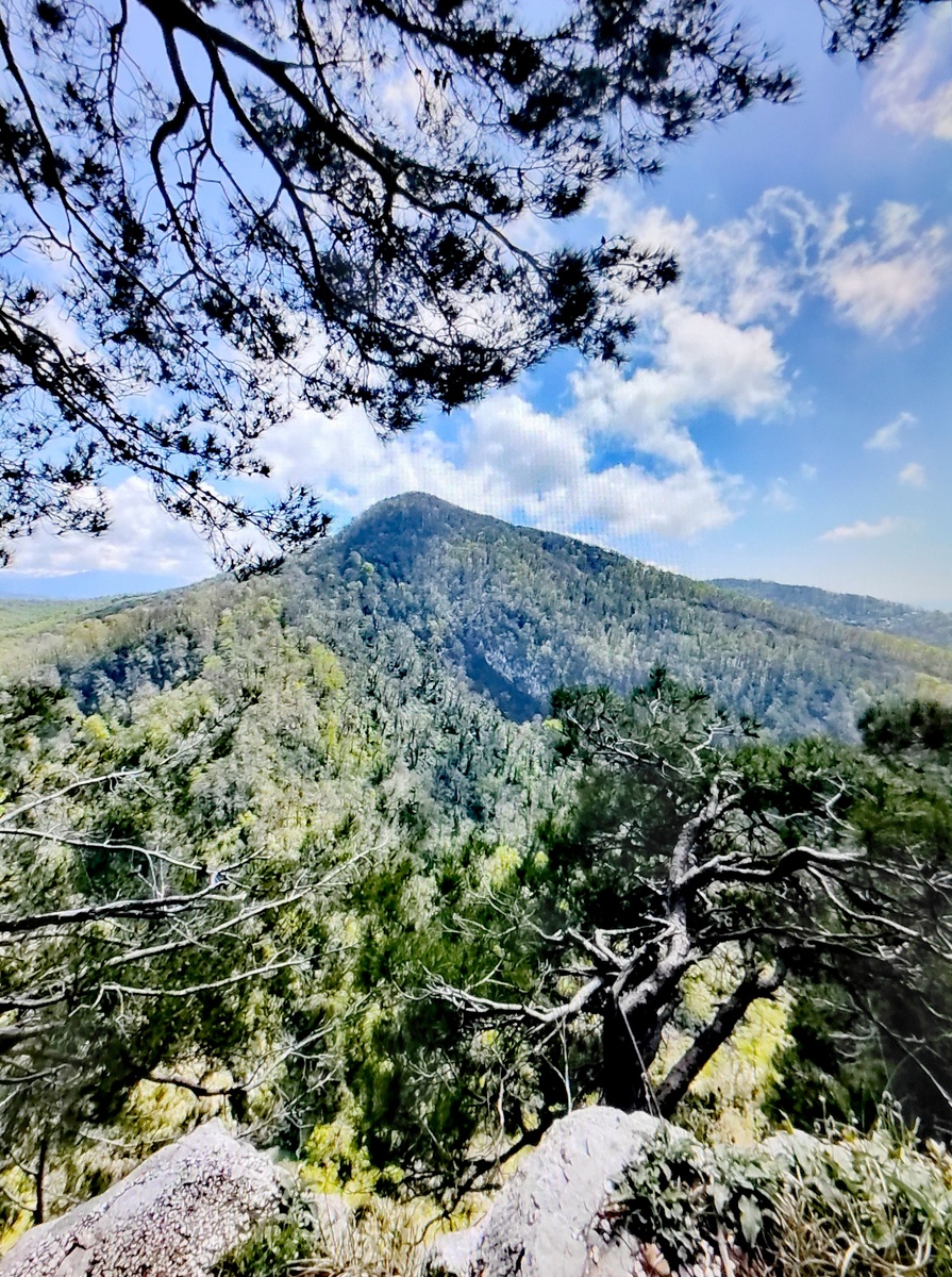 Апрель 2026 года