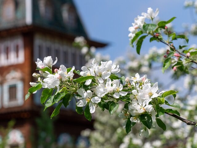   Фото: портал мэра и правительства Москвы/Дарья Мясина