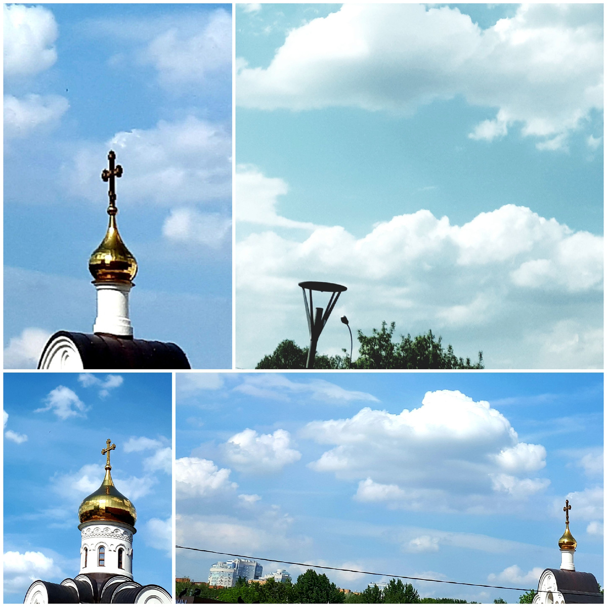 Коллаж автора 17.05.2026г.