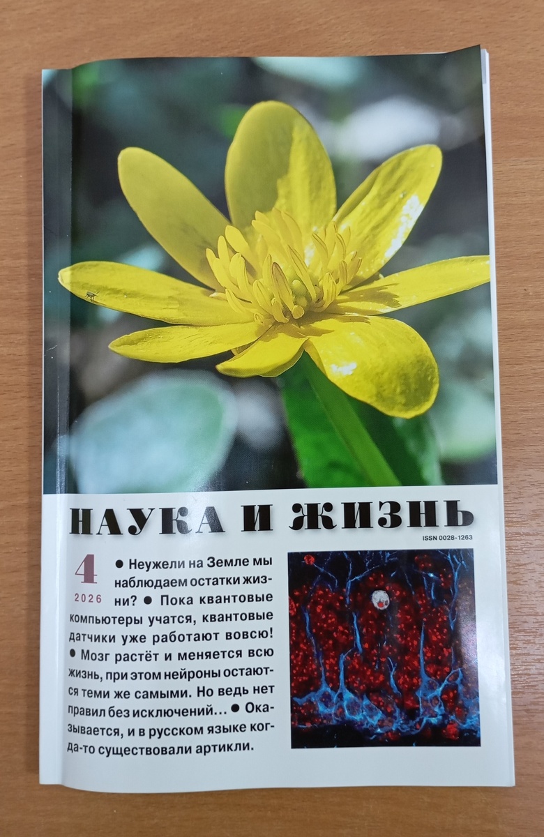 Фотография автора