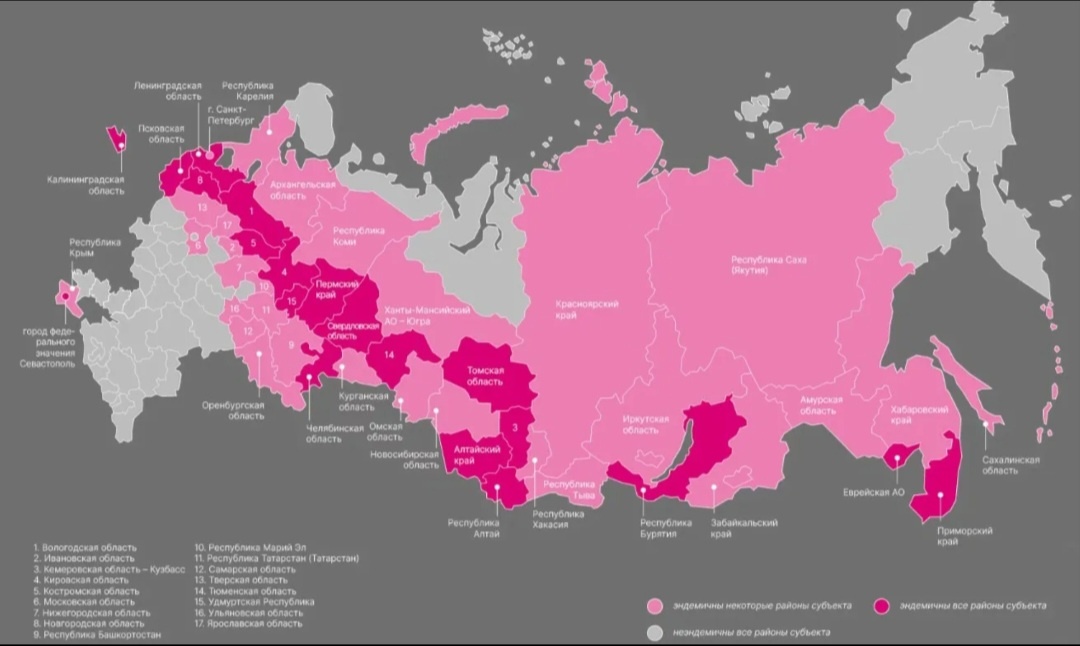 Карта активности клещей 2026 год