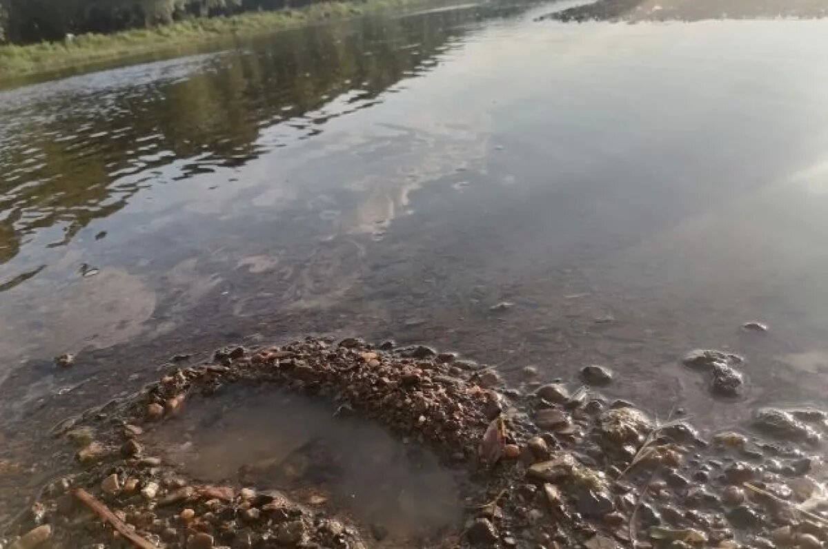    В Саракташском районе незаконно передали в собственность водоохранную зону
