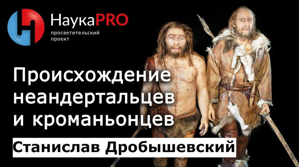    Что скрывает наша ДНК и почему 2% — это не просто случайность