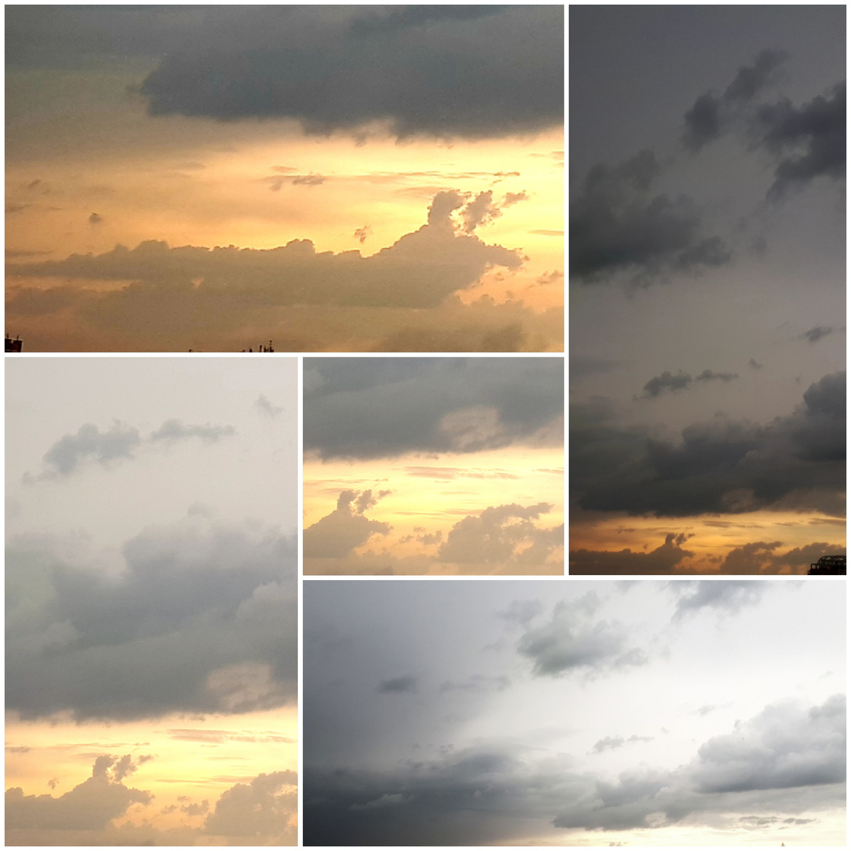 Коллаж автора 17.05.3026г.
