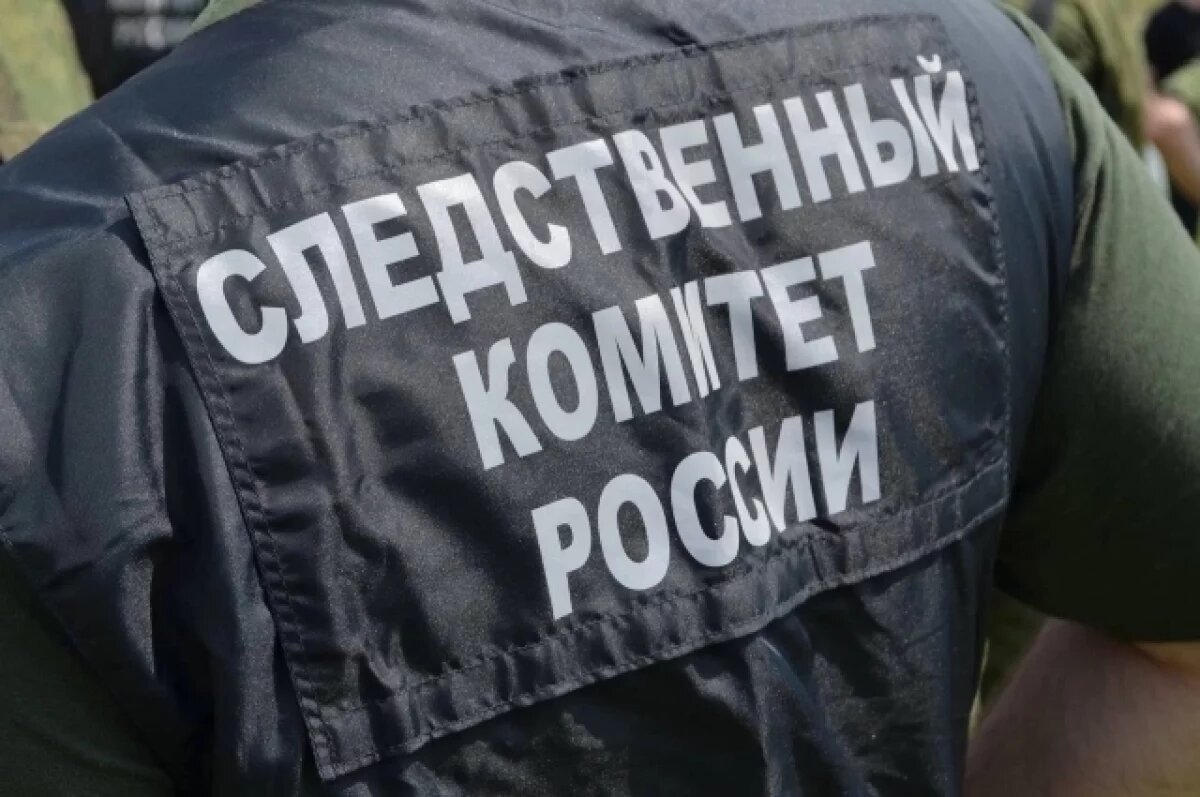    Два ребенка утонули в Псковской области