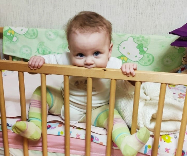 Свободу попугаям!