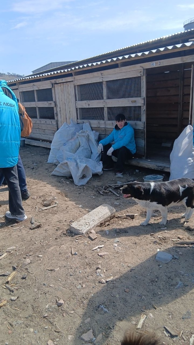 Субботник в приюте Ананда