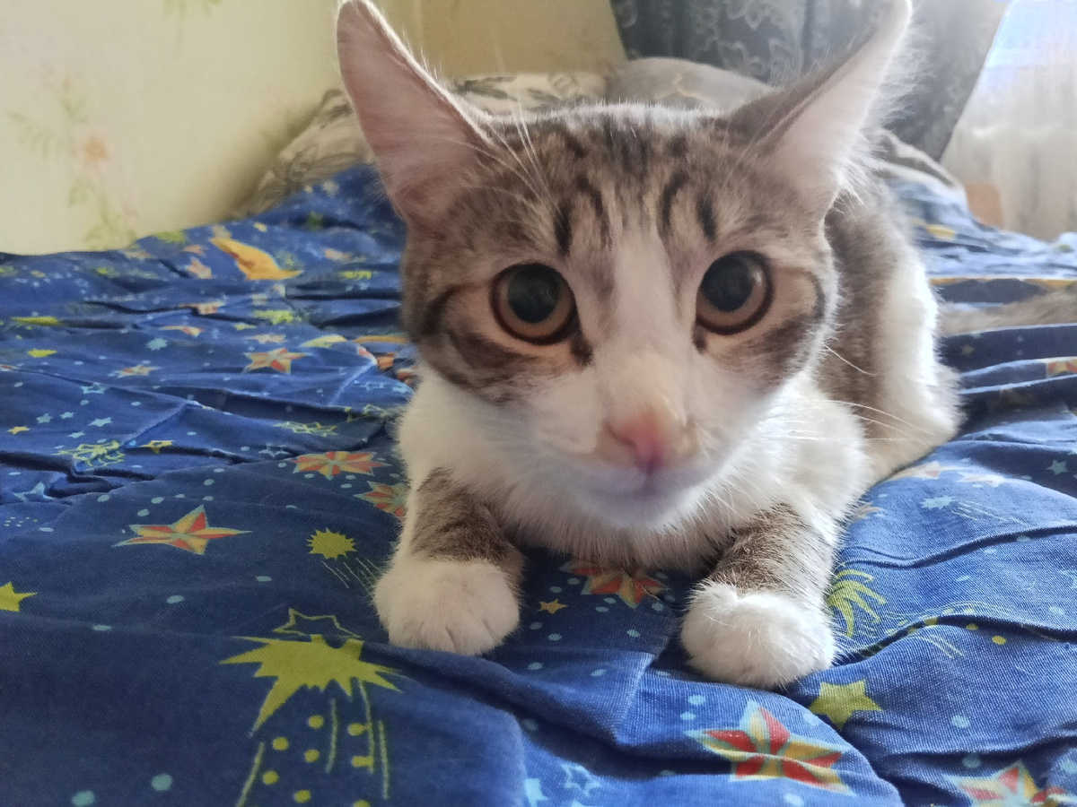💞