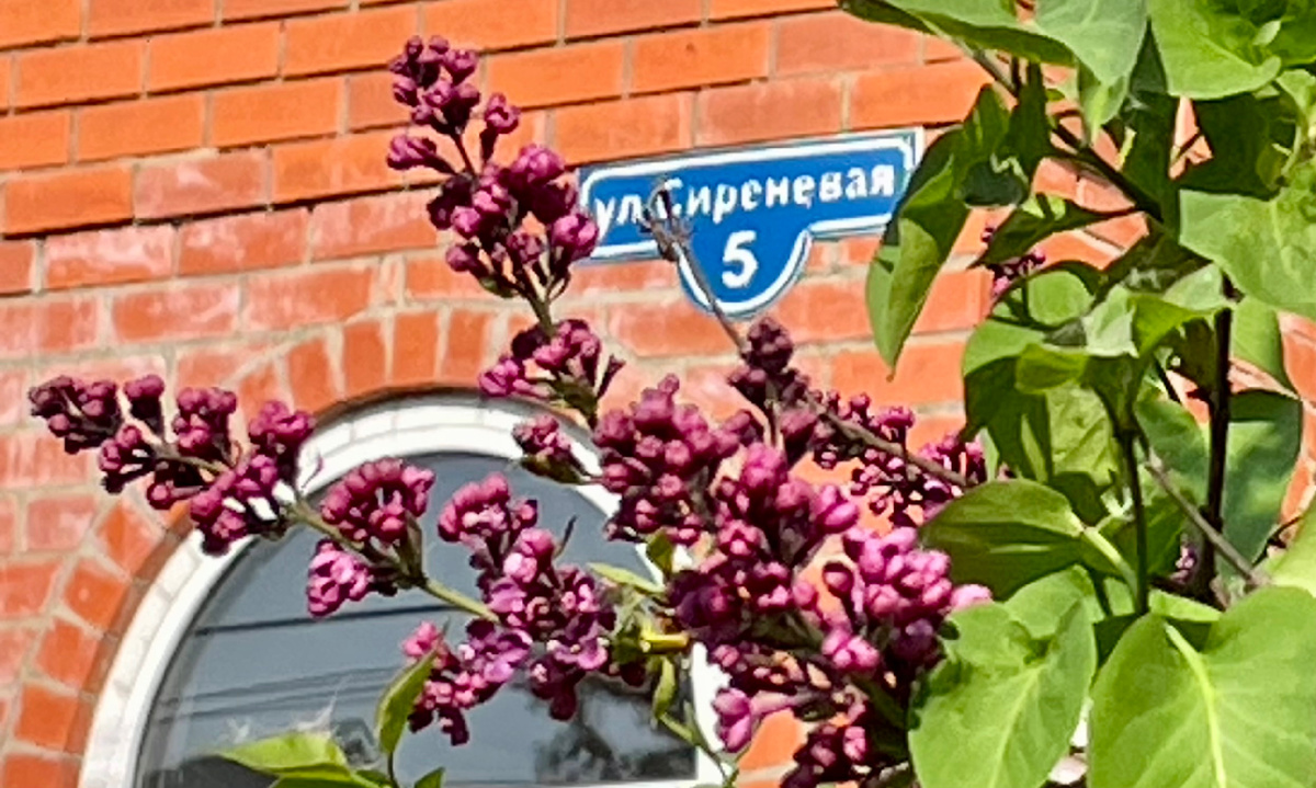 Улица Сиреневая
