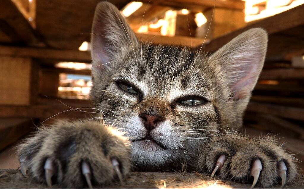 -2
