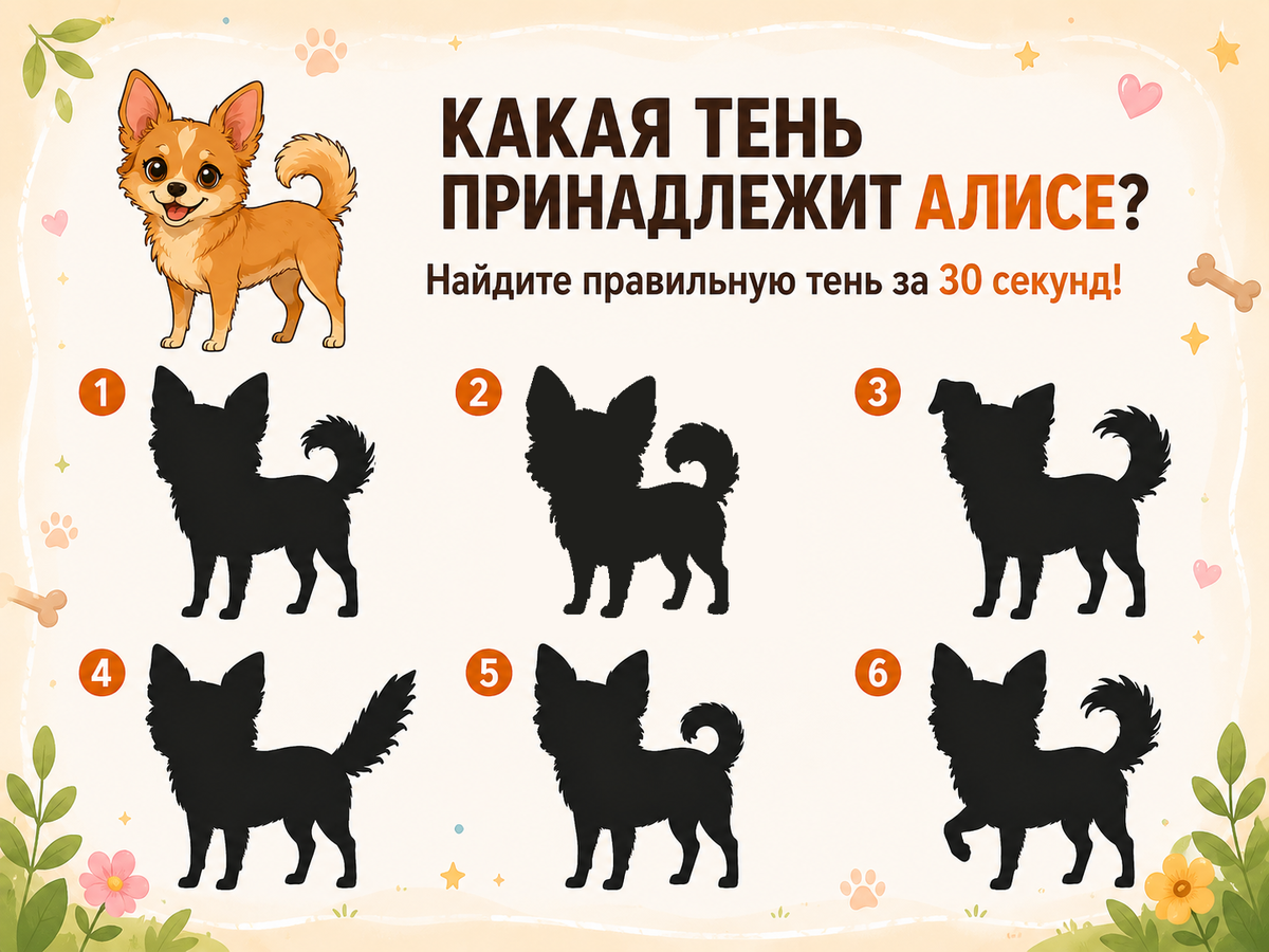 Найди тень Алисы