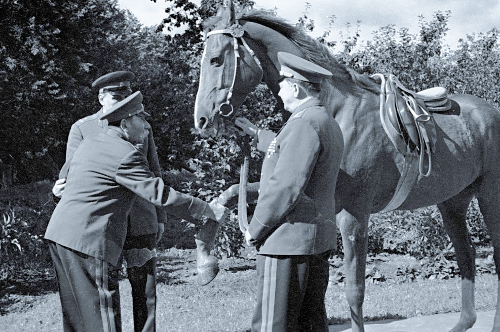 С. М. Буденный здоровается с конём, 1969 г.