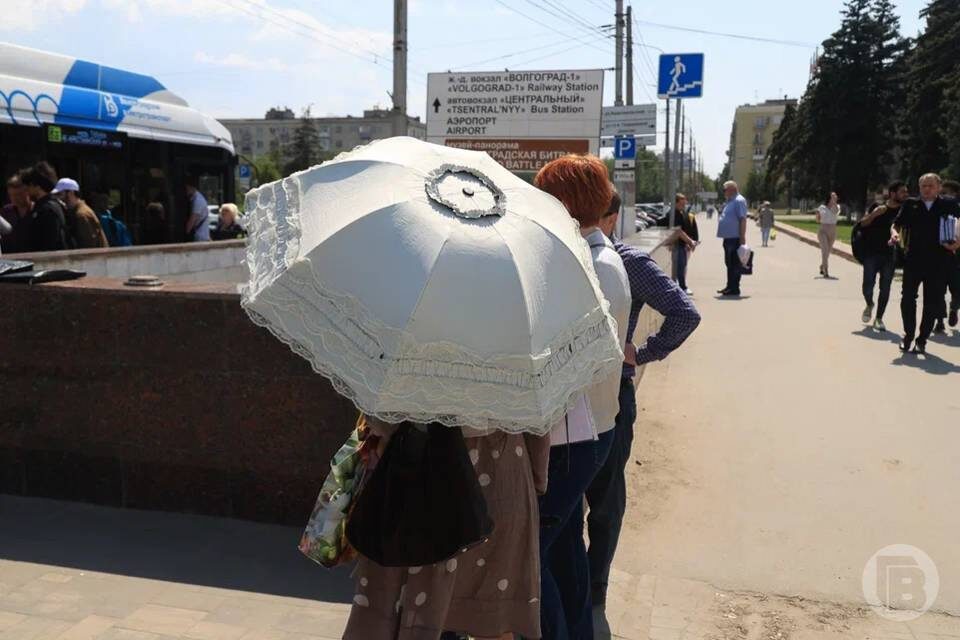    Фото: Дмитрий Рогулин / "Городские вести"