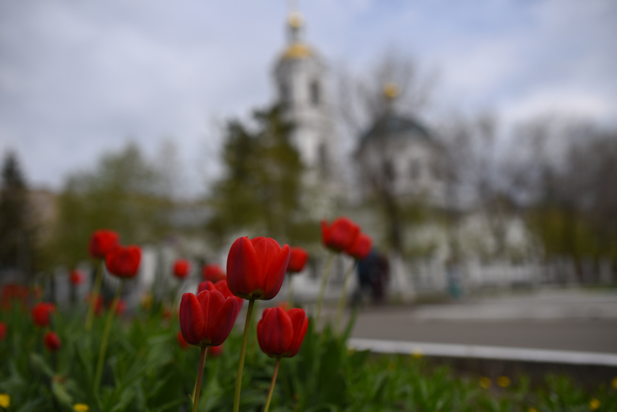 фото: Царьград
